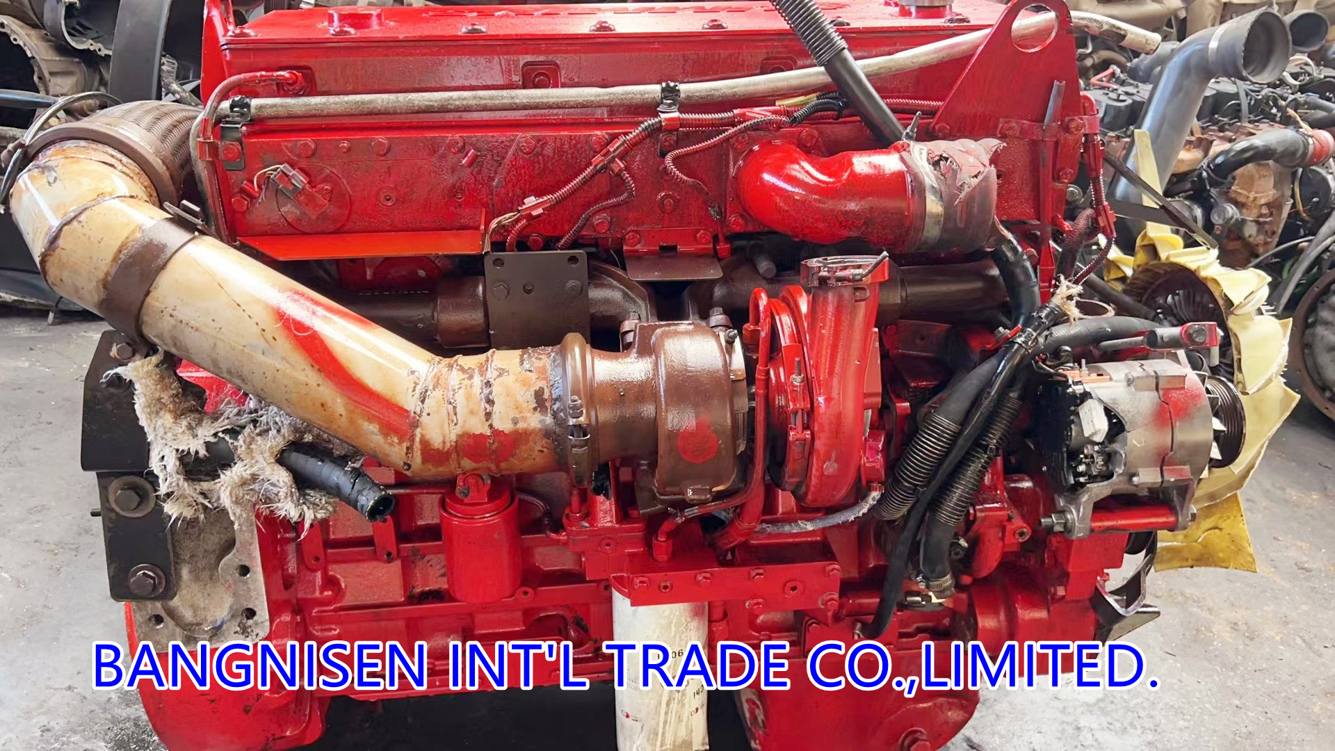 Bangnisen Load Container to Central America on October(图10)