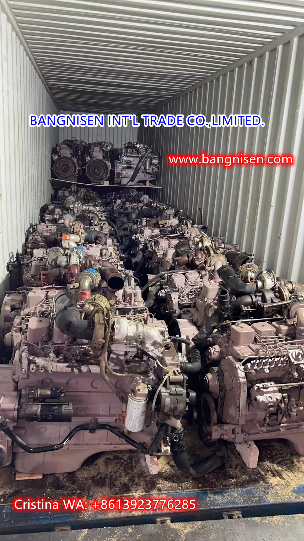 Bangnisen Load new shipment in November  (图5)