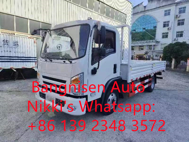 Bangnisen Brand New Truck  5-8 Tons BNS5010G（4X2)(图3)