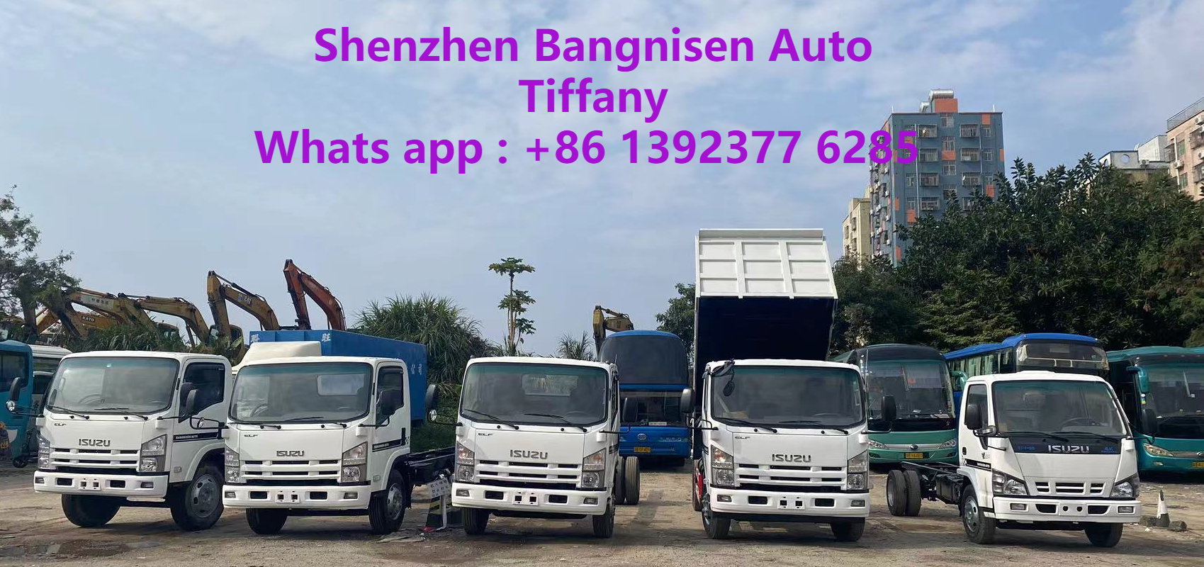 Good Used Isuzu 700P Dump Truck(图1)